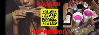 индика Пенза
