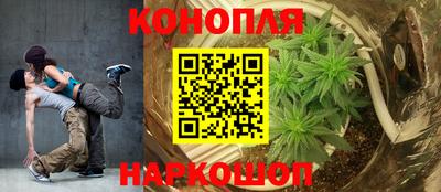индика Пенза