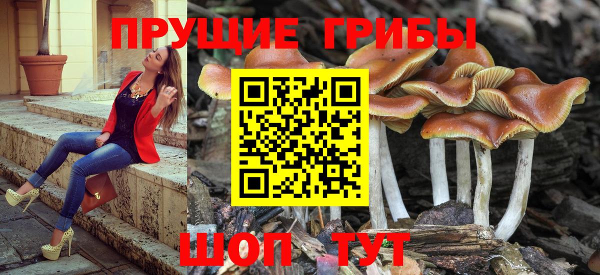Галлюциногенные грибы прущие грибы Уварово